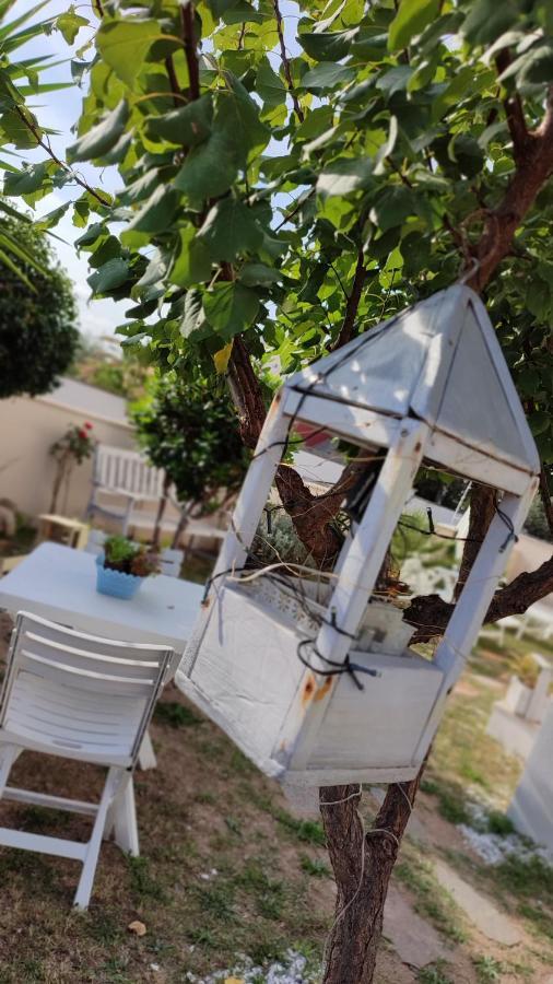 Casa Vacanze Olbia Bagian luar foto